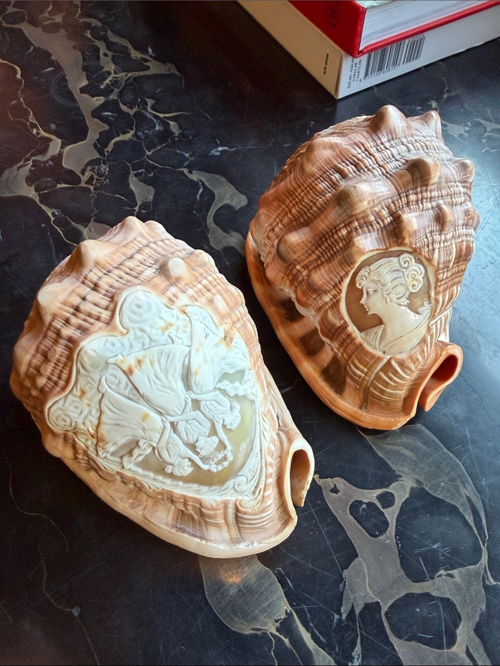 Vintage Carved Cameo Conch Shells Greek Roman Figures Coastal Grand Tour Decor
